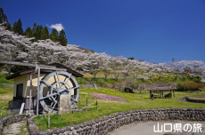 ���_���Ȃ��ݍL��̐���