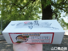 岩鯖寿司