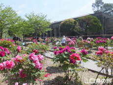 吉香牡丹園