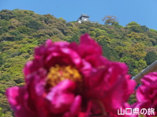 �g�����O��
