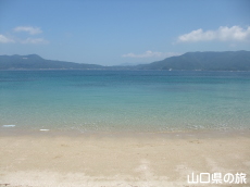 ̉YC