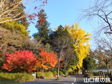 �����ʂ�̍g�t