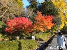 �����ʂ�̍g�t