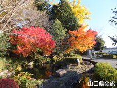 �����ʂ�̍g�t