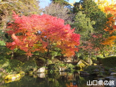 �����ʂ�̍g�t