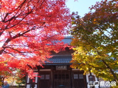 ���z���̍g�t