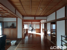 ���z���{��