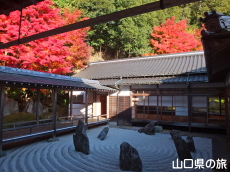 �n���V���̒�