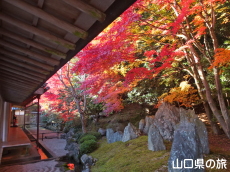 �H���R�r��