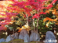 �H���R�r��