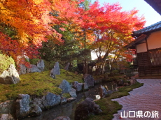 ��R���C�̒�