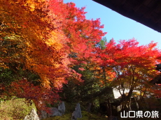 ���z���̍g�t