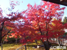 ���z���̍g�t