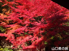 ���z���̍g�t