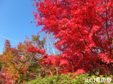 ���z���̍g�t