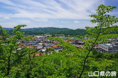 �V�_�R����