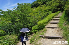 �V�_�R�����̗V����