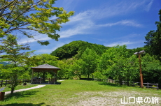 �V�_�R�����R���L��