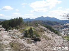 �V�_�R�����̍�