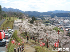 �V�_�R�����̍�