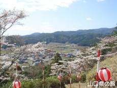 �V�_�R�����̍�