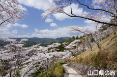 �V�_�R�����̍�