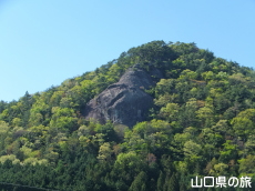 ���C�I����