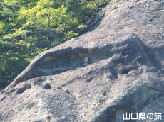 ���C�I����