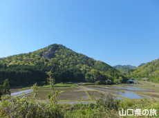 ���C�I����