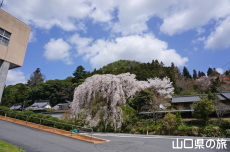 �e������