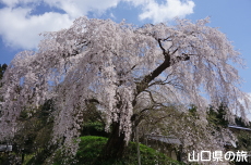 �e������