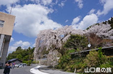 �e������