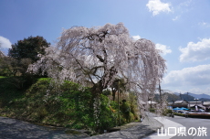 �e������