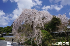 �e������