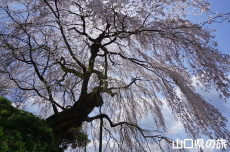 �e������