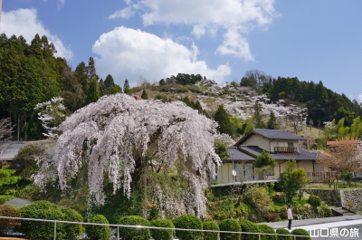 �e������