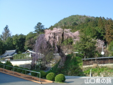 �e������