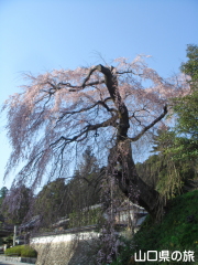 �e������