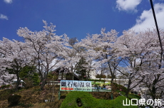 �ΑD����̍�