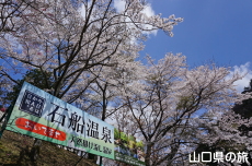 �ΑD����̍�