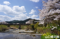 �ΑD����̍�