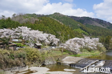 �ΑD����̍�