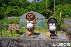 �_�ƃ��X�g�������ʂ�