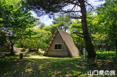 ����R�Βn����