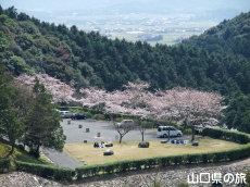 �̖��_���̐�{��