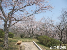 �����̕����