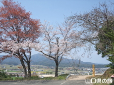 �����̕����