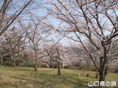 �����̕�����̍�