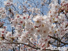 �����̕�����̍�