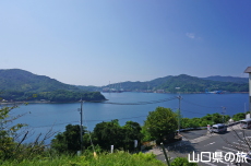 �O�j����